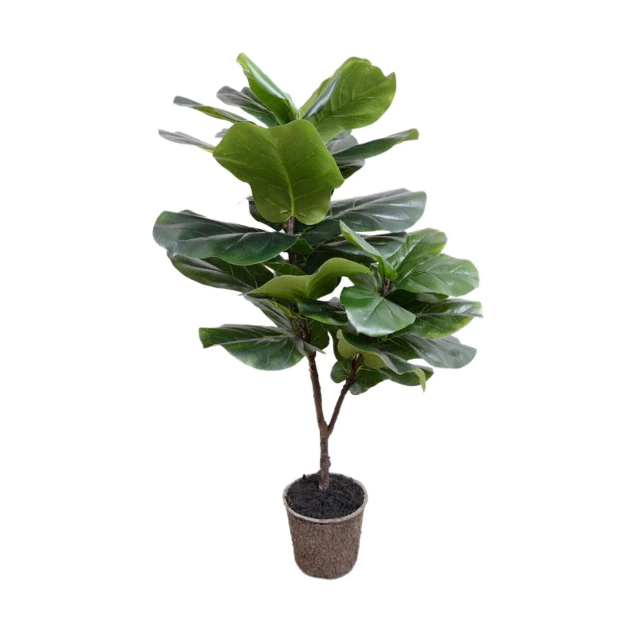 64" Faux Fiddle Leaf Fig Large-Leaf Tree