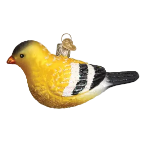 American Goldfinch