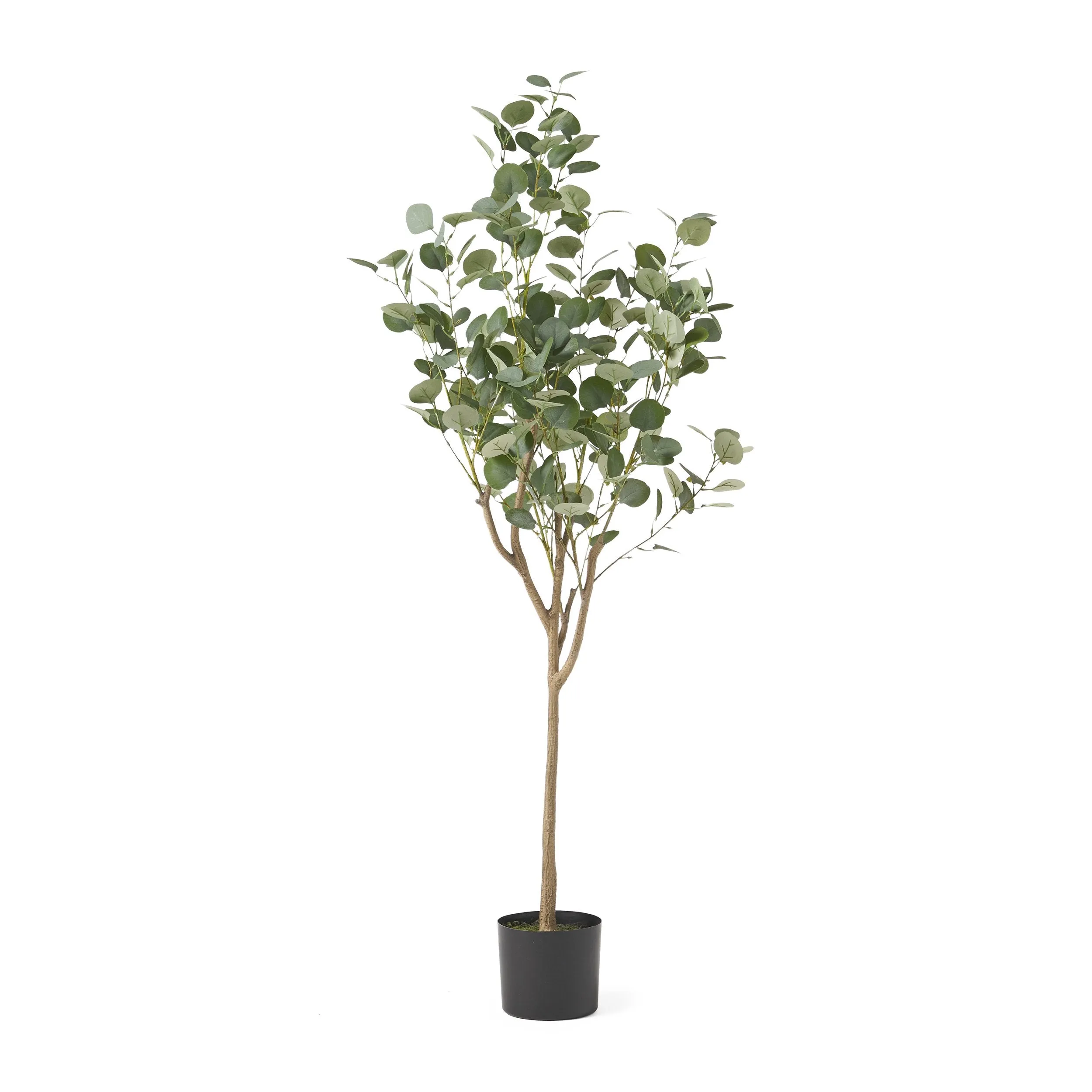 Artificial Eucalyptus Tree - NH947313