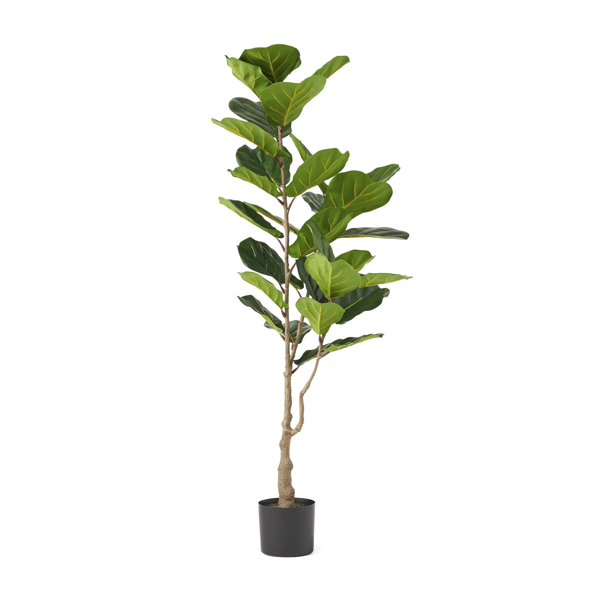 Artificial Fiddle-Leaf Fig Tree - NH347313