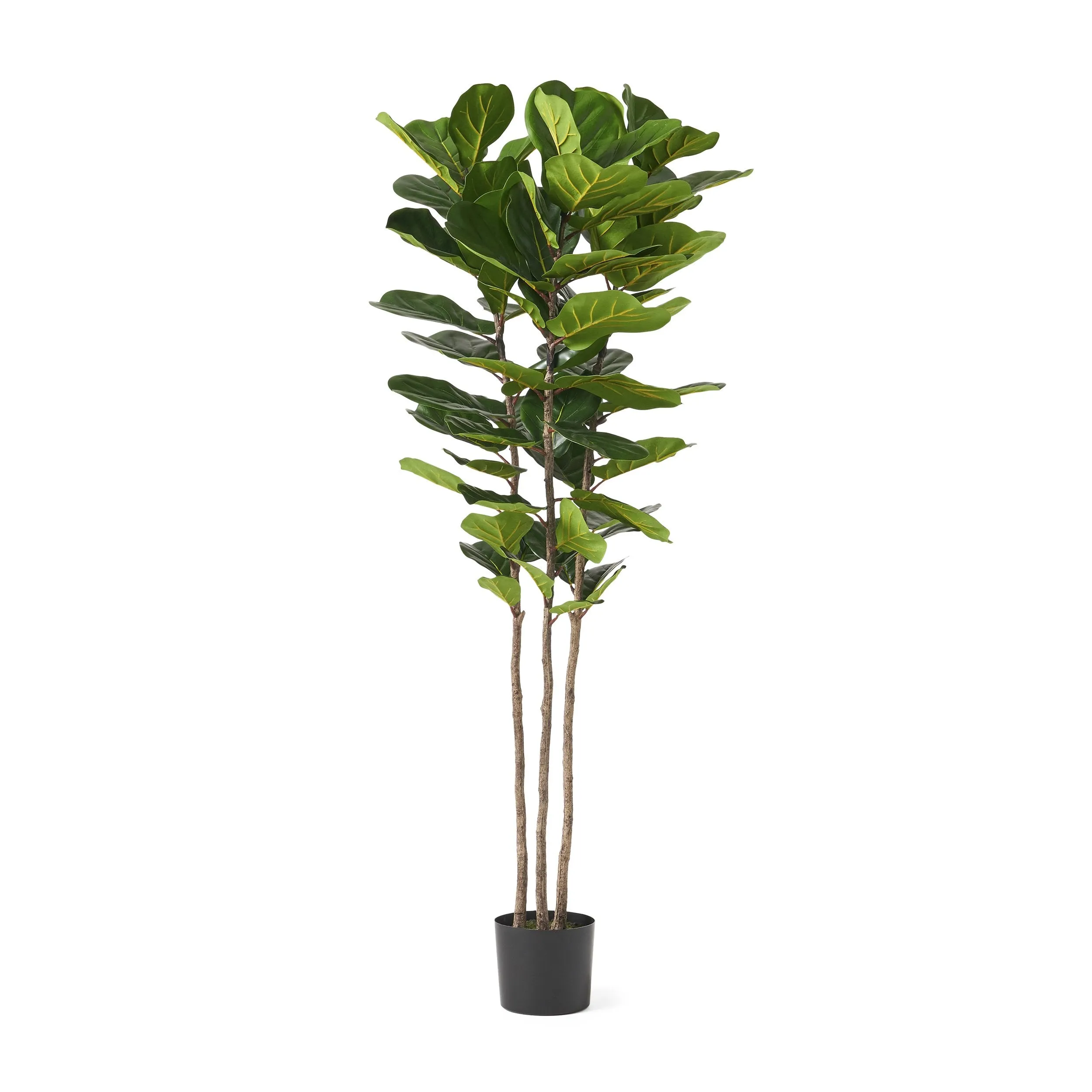 Artificial Fiddle-Leaf Fig Tree - NH347313