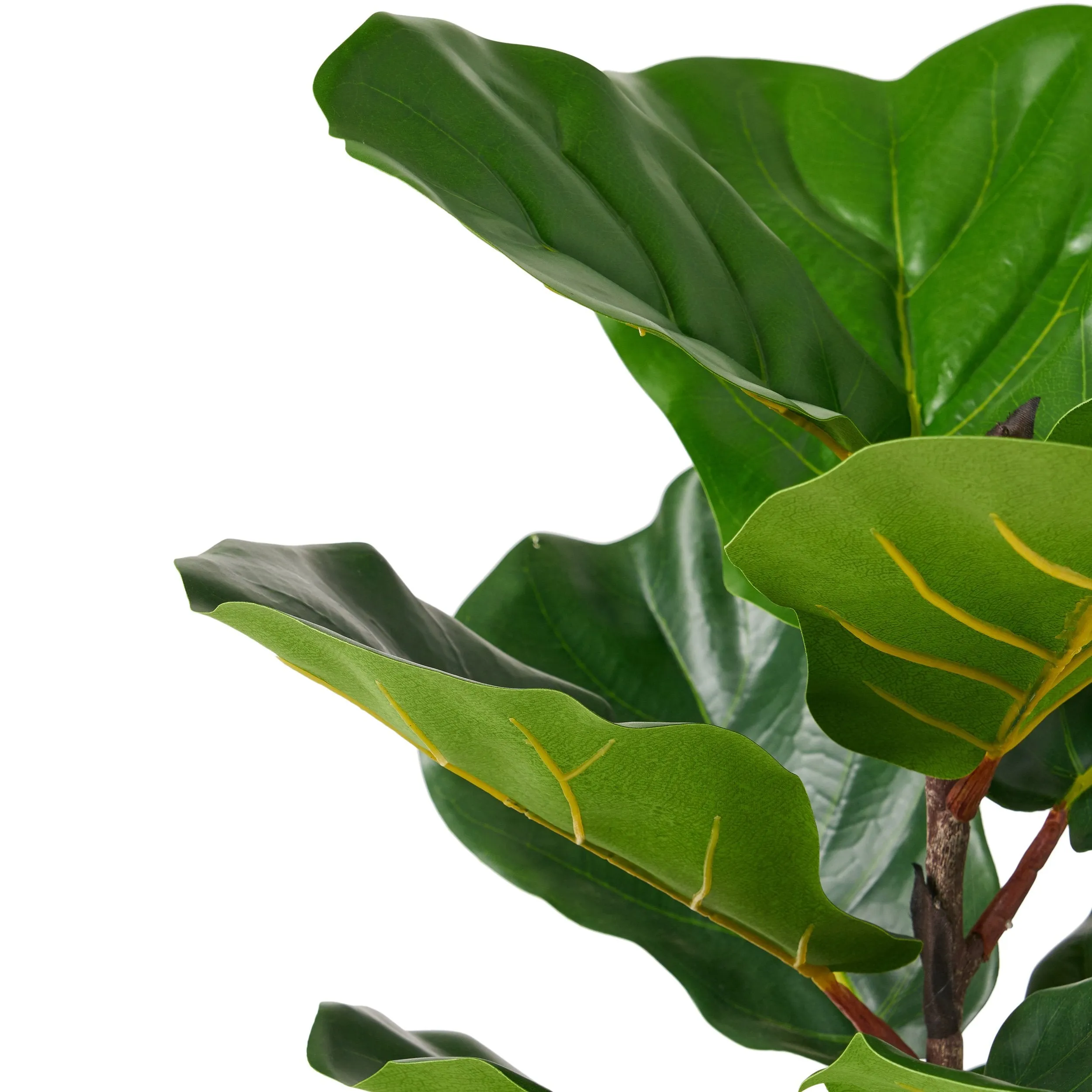 Artificial Fiddle-Leaf Fig Tree - NH347313