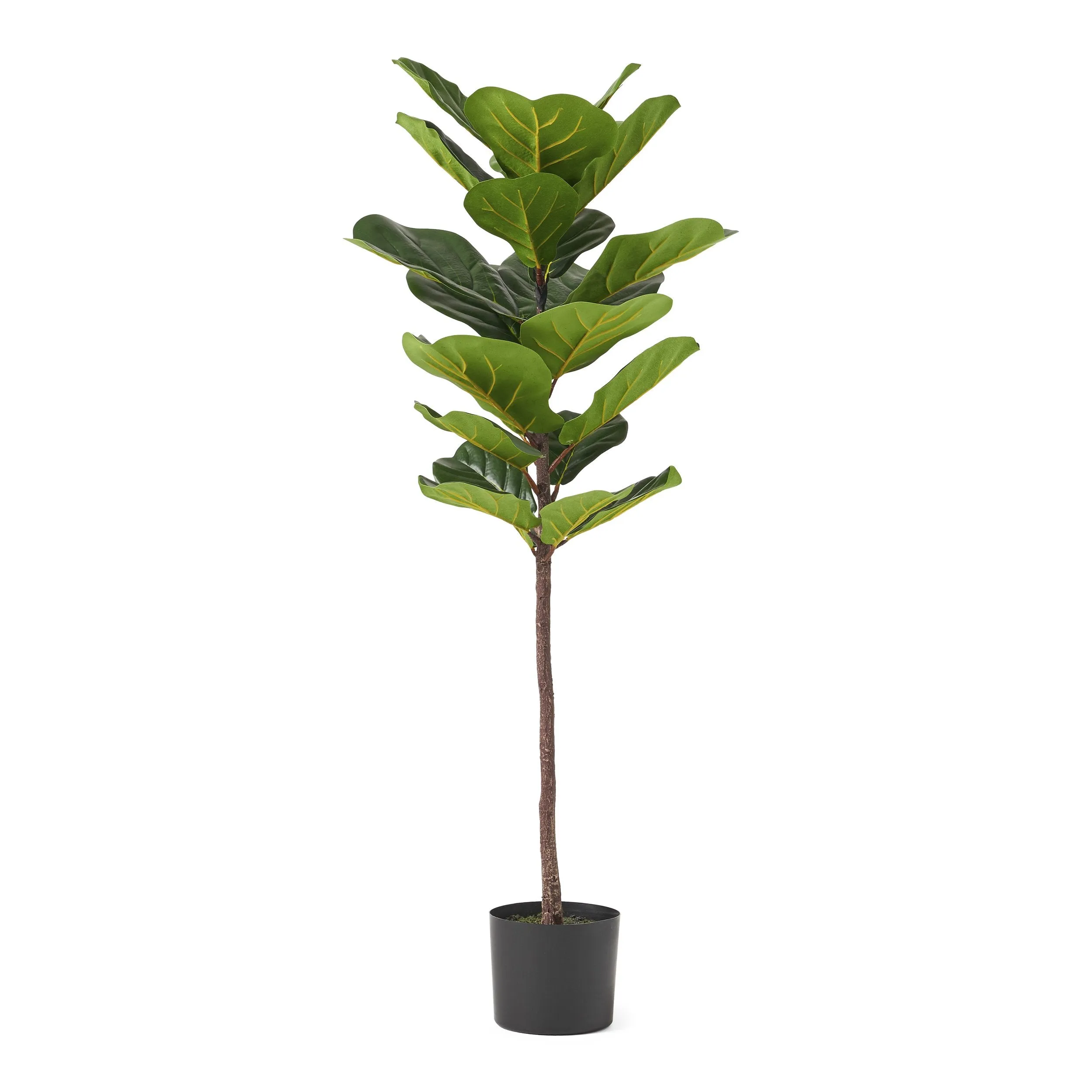 Artificial Fiddle-Leaf Fig Tree - NH347313