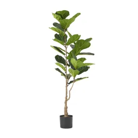 Artificial Fiddle-Leaf Fig Tree - NH347313