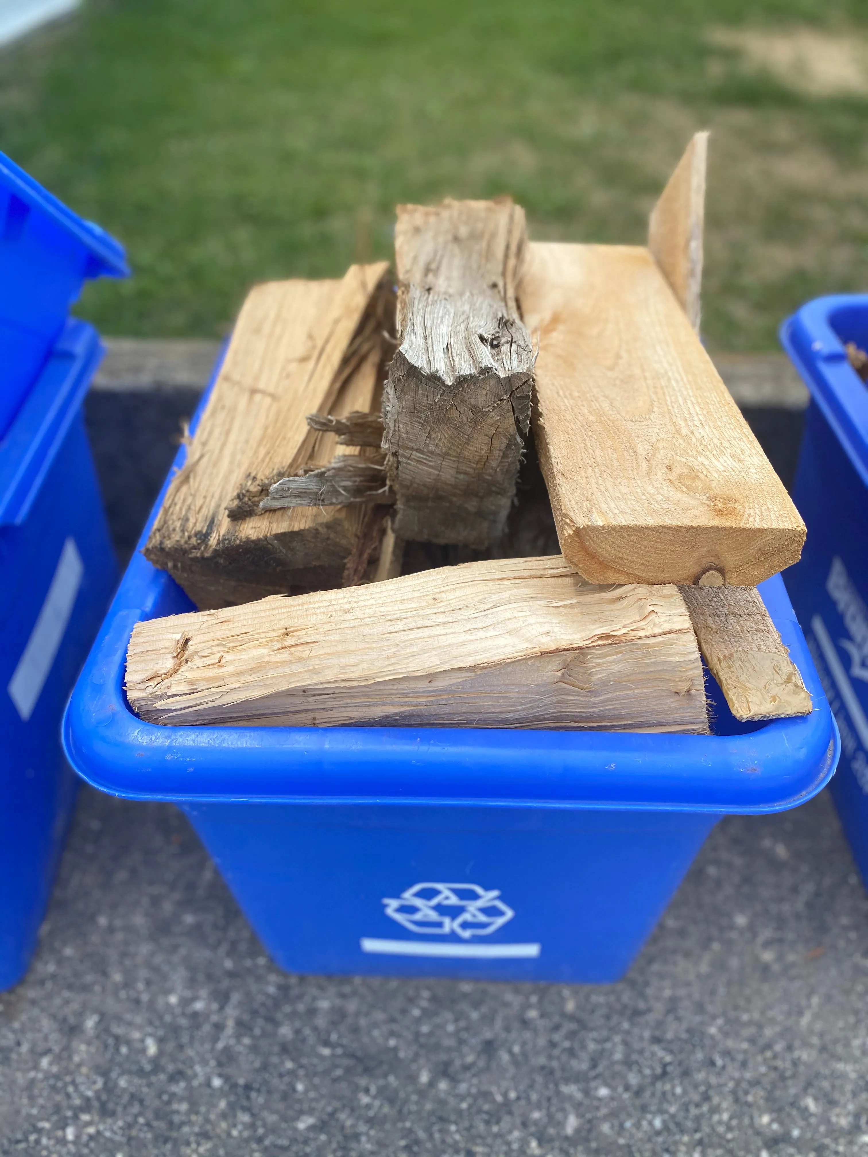 Small Bin of Firewood