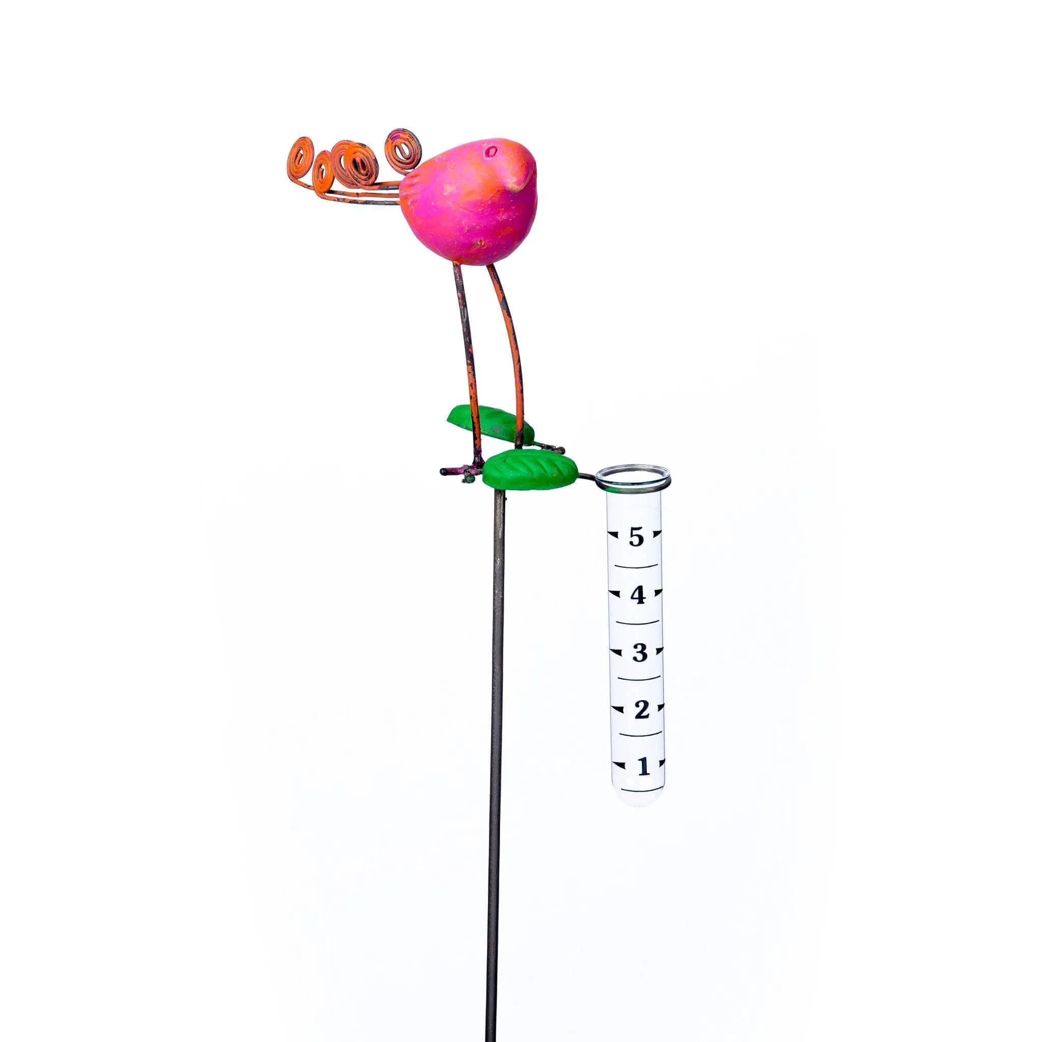 Standing Bird with Rain Gauge