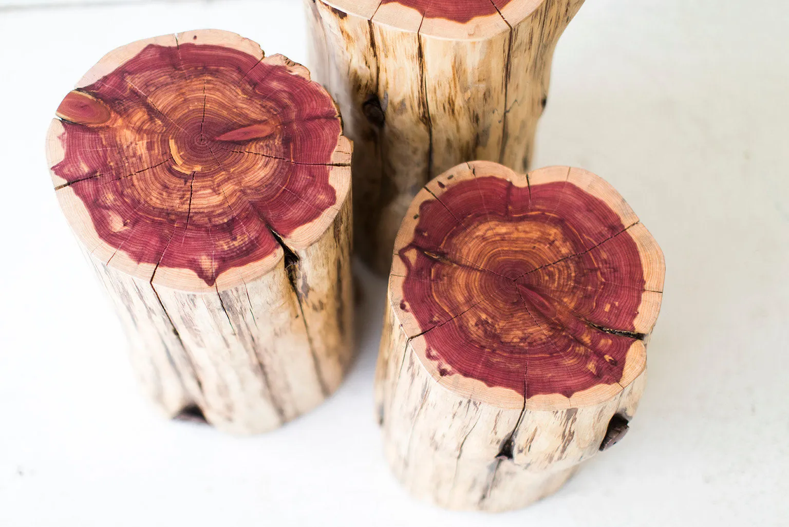 Tree Stump Tables - Natural - 1117